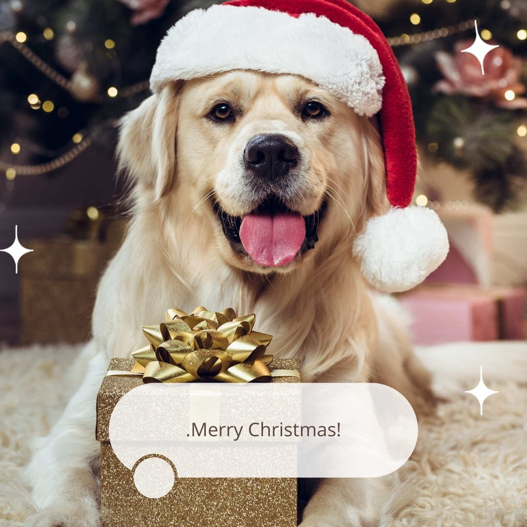 Best Christmas Message In Tagalog and Greetings